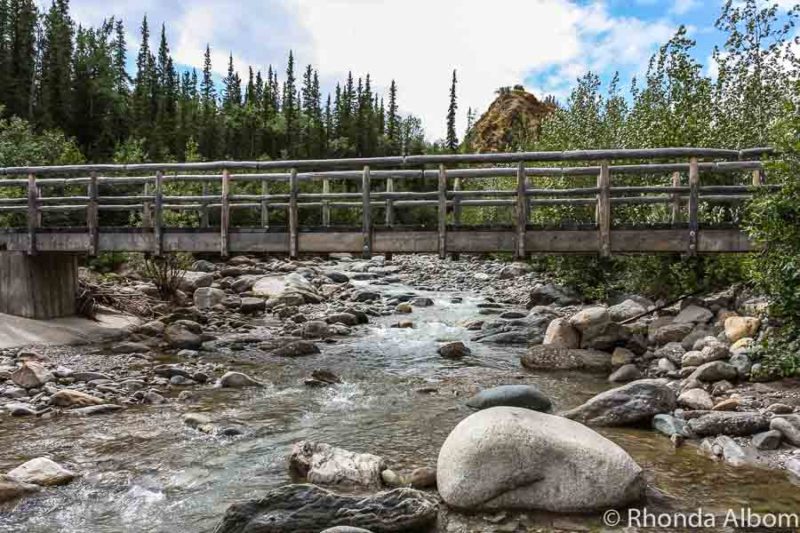 Things to do in Denali Alaska: Getting to and Enjoying the National Park 10 Things to do in Denali National Park