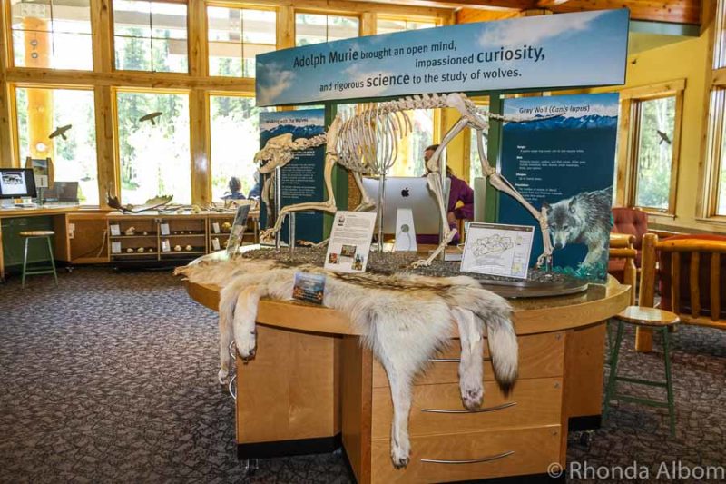 Things to do in Denali Alaska: Getting to and Enjoying the National Park 7 Denali National Park wilderness access center in Alaska