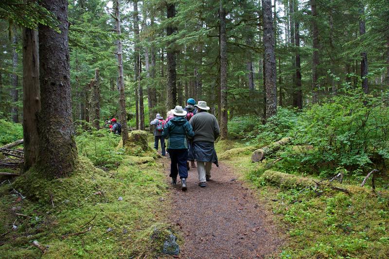 Exciting Icy Strait Point Whale Watching and Other Options 5 People walking on a forested path in Chicagof Island