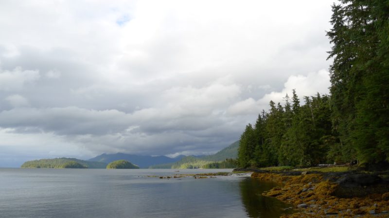 Ketchikan Shoreline in Alaska