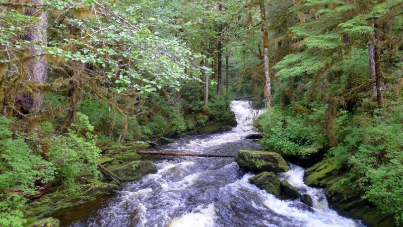 Creek in Ketchikan region in Alaska