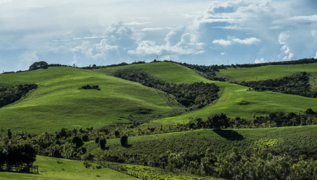 Shakespear Park: Our Favourite of the Auckland Regional Parks