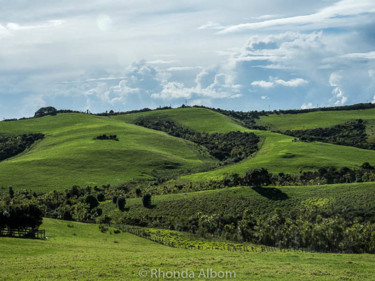 Shakespear Park 6050046