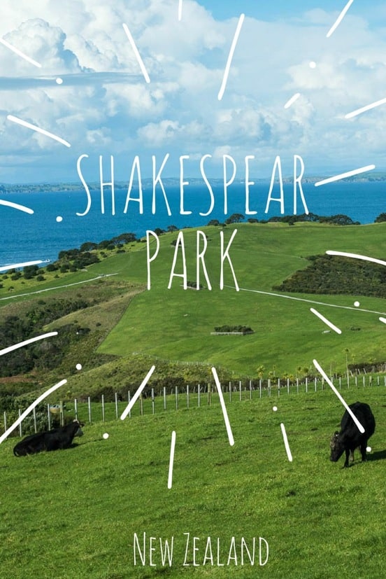 Rolling hills of Shakespear Park, Auckland New Zealand. One of many hiking options in a park teeming with farm animals and wildlife.