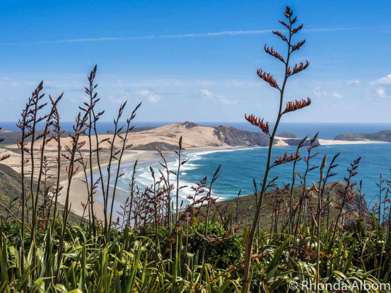 The beach near Cape Reinga is a great place to learn a few kiwi sayings