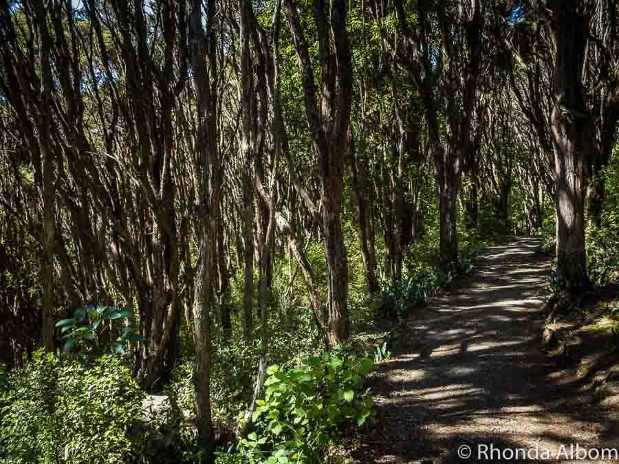 Kiwi Slang Funny New Zealand Sayings Visitors Beware!