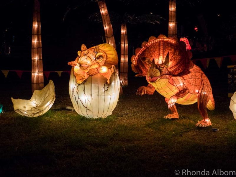 Auckland Lantern Festival A Vivid Celebration of Chinese New Year