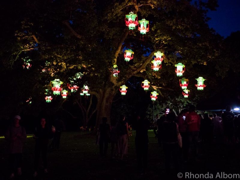 Auckland Lantern Festival A Vivid Celebration of Chinese New Year