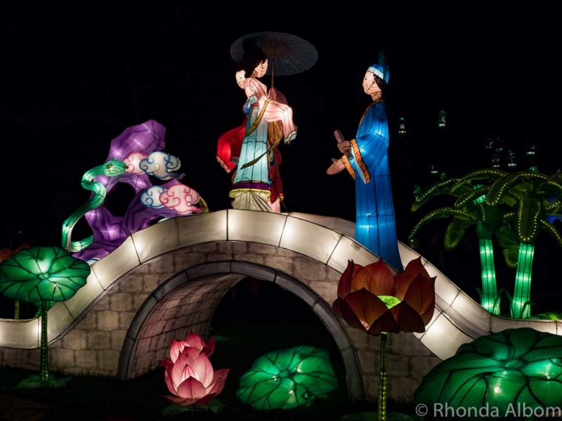Auckland Lantern Festival A Vivid Celebration of Chinese New Year