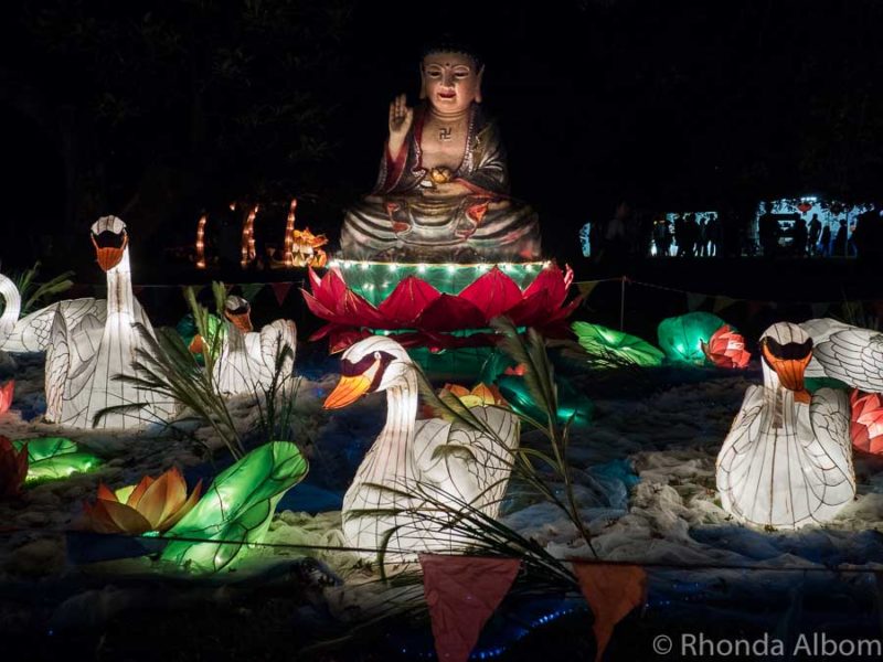 chinese new year 2025 auckland lantern festival