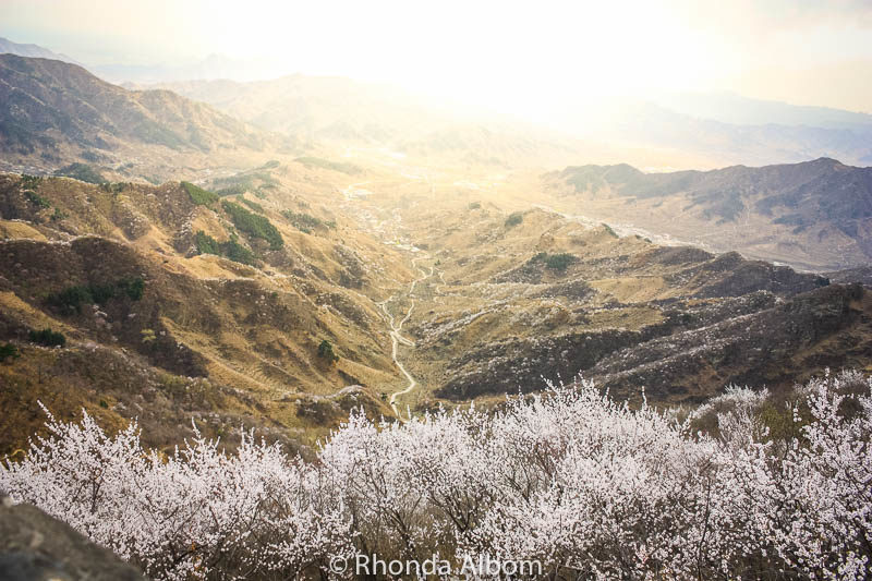 View from the Great Wall of China