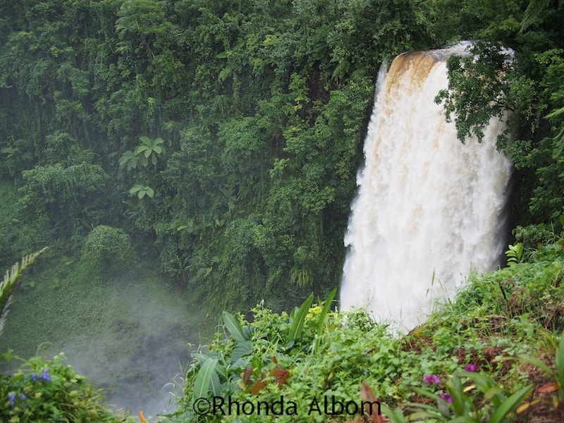 The rushing Fuipisia Falls in Samoa