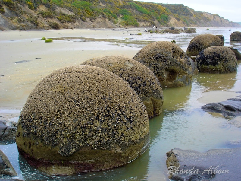 Moeraki Boulders Legend or Science Let's Solve this NZ Mystery