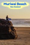 Muriwai Beach is a surfers paradise, a black sand beach located on the west coast of Auckland New Zealand
