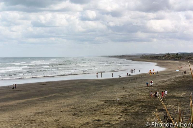 Black sands of Muriwai Beach Auckland New Zealand