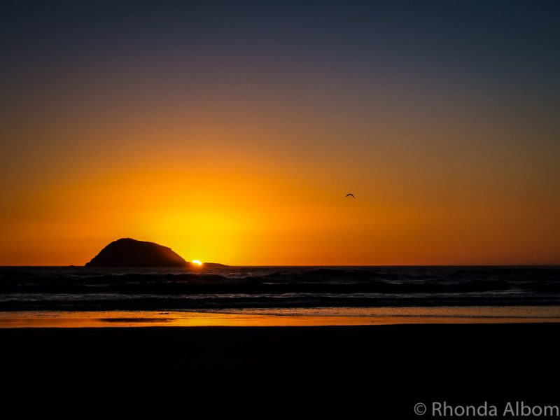 Muriwai Beach is Nesting Gannets, Black Sand, and Wild Surf in Auckland 18 Sunset over the ocean on the west coast of the North Island of New Zealand