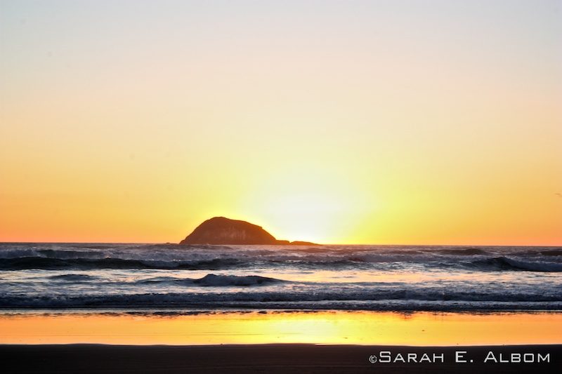 Muriwai beach, New Zealand. Photo copyright ©Sarah Albom 2014