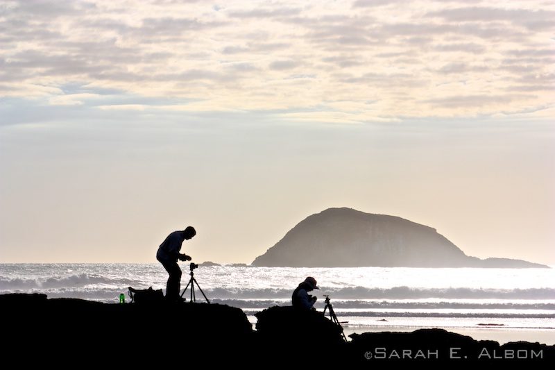 Silhouettes on Muriwai beach, New Zealand. Photo copyright ©Sarah Albom 2014
