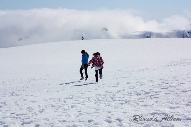 Fox Glacier on the South Island of New Zealand
