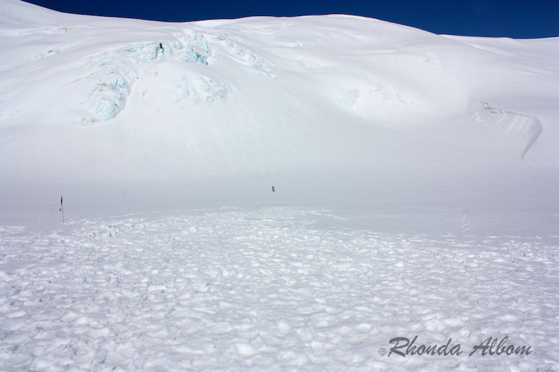 The vastness of Fox Glacier, there are two people in the center of this photo