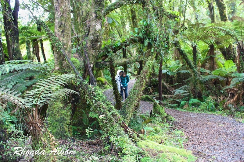 Walking through the moss covered trees on the Monroe beach walk