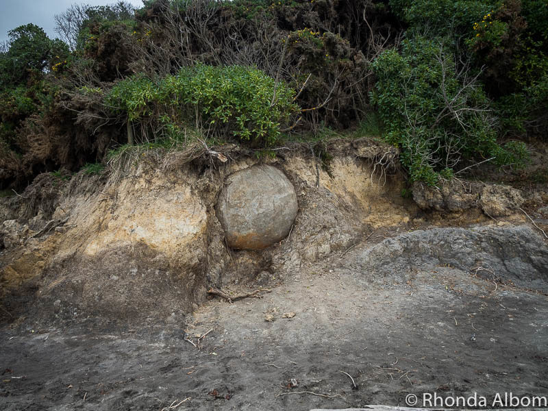 Large rock embedded in the earth in New Zealand