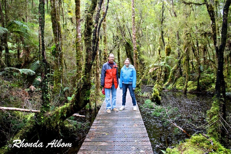 Kahikatea Swamp Forest Walk Along Ship Creek in New Zealand
