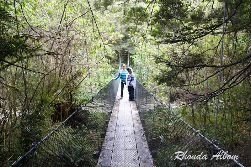 Swing bridge on hike to Monro Beach, South Island New Zealand