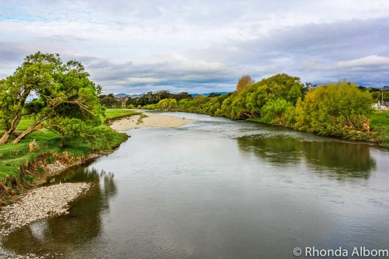 Mangatainoka River in the North Island of New Zealand.