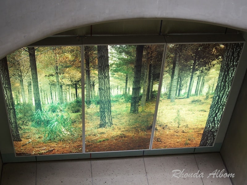 Light Box Trees by Michael Parekowhai in the Britomart pedestrian subway in Auckland New Zealand