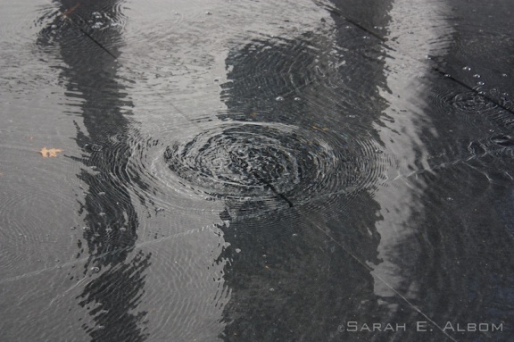 A ripple in the pool outside the Auckland Art Museum - rainy day photos