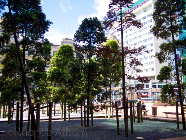 Articstic Patch of Trees on Auckland's Queen Street