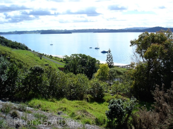 Hike up Motuora Island in the Hauraki Gulf, Auckland, New Zealand