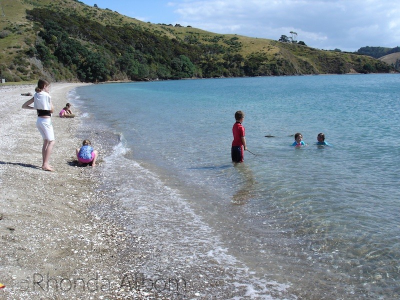 Explore the Islands of the Hauraki Gulf - Auckland NZ 15 Shark Bay on Ponui Island in the Hauraki Gulf, Auckland, New Zealand