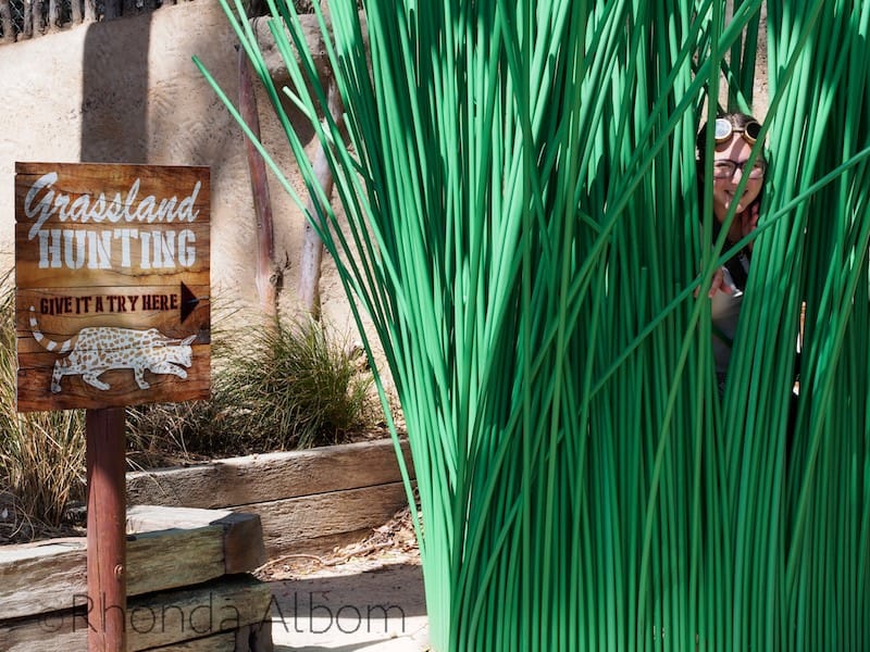 Interesting Animals at Wellington Zoo, with NZ's Only Bear