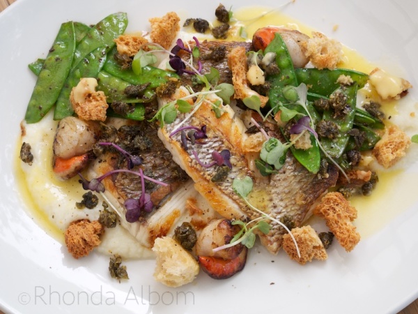 Snapper lunch with salad and a white sauce at the Riverhead Tavern in Auckland