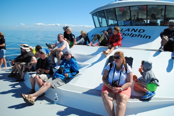 Our Auckland whale watching afternoon spotting dolphins, whales & birds 8 On the Auckland Whale and Dolphin Safari Boat in New Zealand