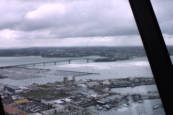 View of from the top of the Sky Tower, Auckland New Zealand