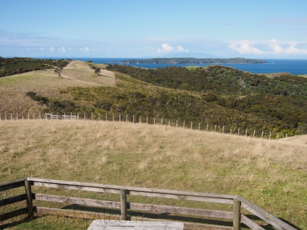 View from lookout tower at Shakespear Park, Auckland New Zealand