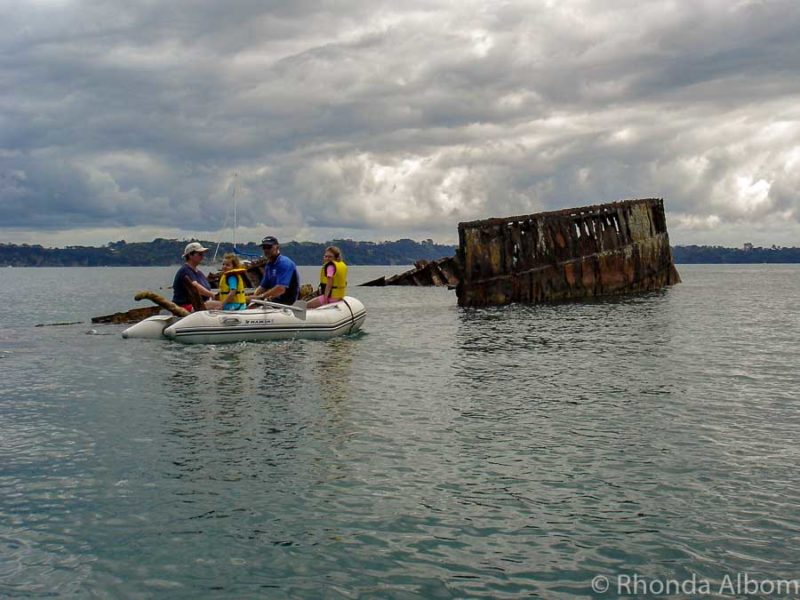 Explore the Islands of the Hauraki Gulf - Auckland NZ 13 Motorekareka is one of the islands around Auckland New Zealand