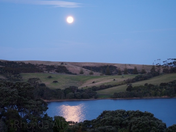 Full moon over Shakespear Park, Auckland, New Zealand before the lunar eclipse