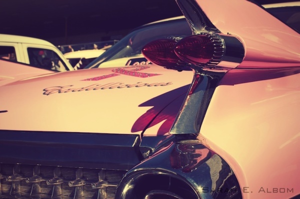 Vintage Day Out, Alexandra Park Raceway, Auckland, New Zealand - Photograph copyright Sarah E. Albom 2015