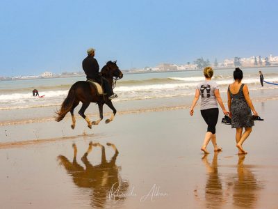 Horse rider on the beach on of the many things to do in Essaouira