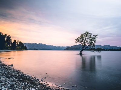Photographing the Wanaka tree is one of the most popular things to do in Wanaka New Zealand