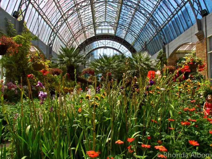Wintergardens 2
