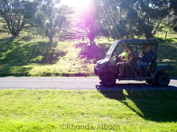 Returning to the Ranger Station in Shakespear Park, Auckland New Zealand