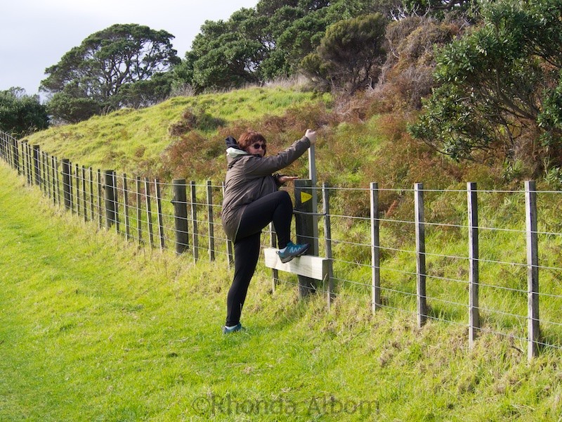 Intimidated by Cows I Climb Over an Electric Fence 5 Using a stile to climb over the electric fence