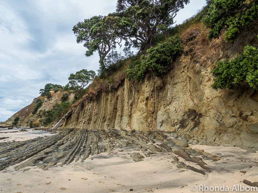 Cliffs and foreshore at Pink Beach in Shakespear Park Auckland New Zealand