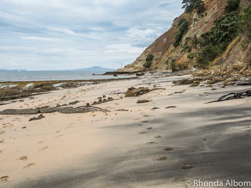 Wondering Why It's Called Pink Beach? (Auckland, New Zealand) 5 Pink Beach in Shakespear Park Auckland New Zealand