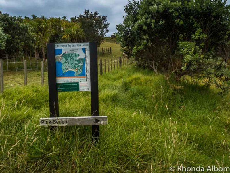 Wondering Why It's Called Pink Beach? (Auckland, New Zealand) 16 Sign to Pink Beach in Shakespear Park Auckland New Zealand